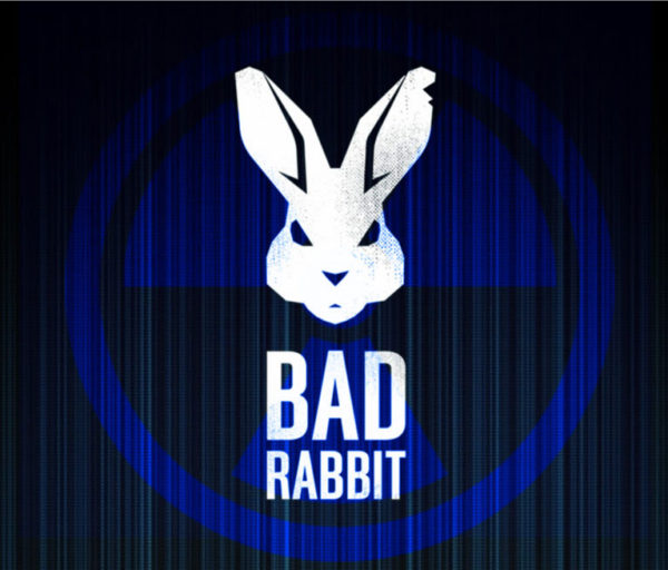 Bad rabbit. Вирус Rabbit. Bad Rabbit вирус. Компьютерный вирус Rabbit. Вирус Rabbit фото.